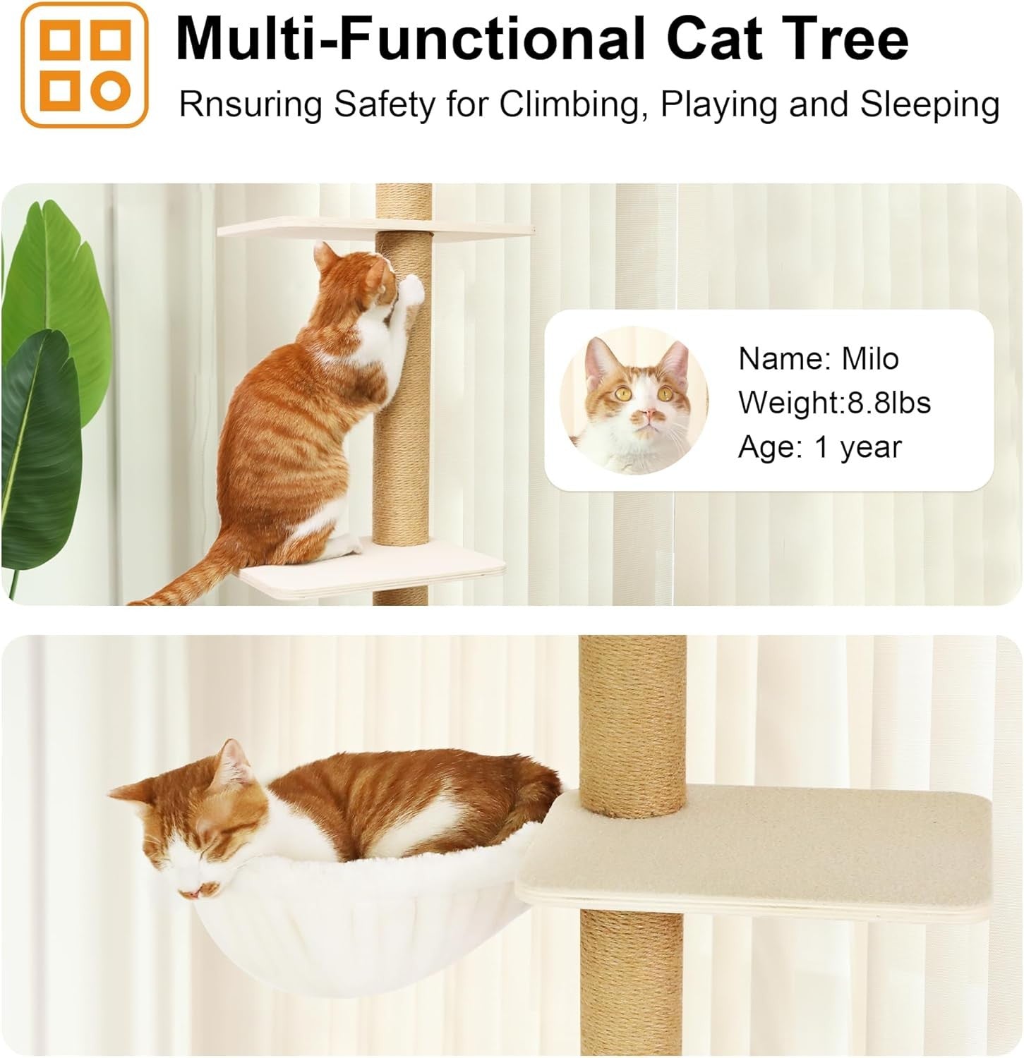 Natural Wood Floor to Ceiling Cat Tree Adjustable Height Scratching Tower