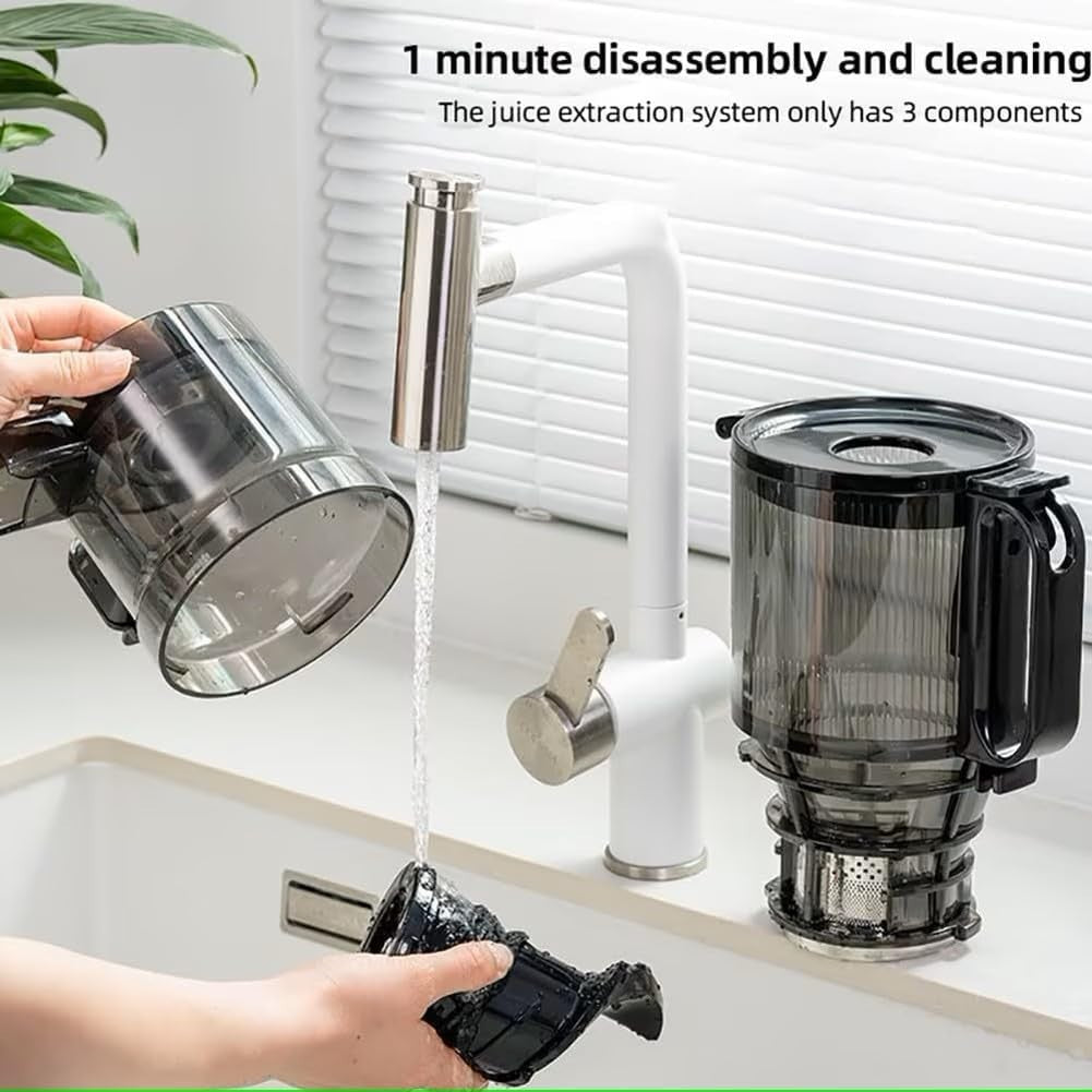 Self Feeding Slow Juicer Whole Fruit Masticating 37RPM Easy Clean 300W