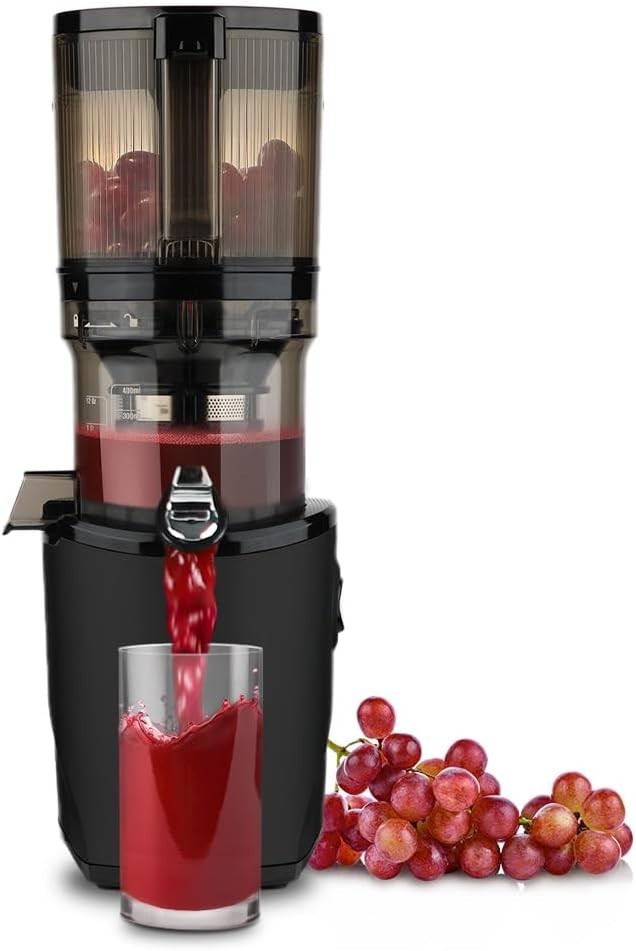 Auto Feeding Slow Juicer 2L Capacity Whole Fruit Quiet Easy Clean 200W