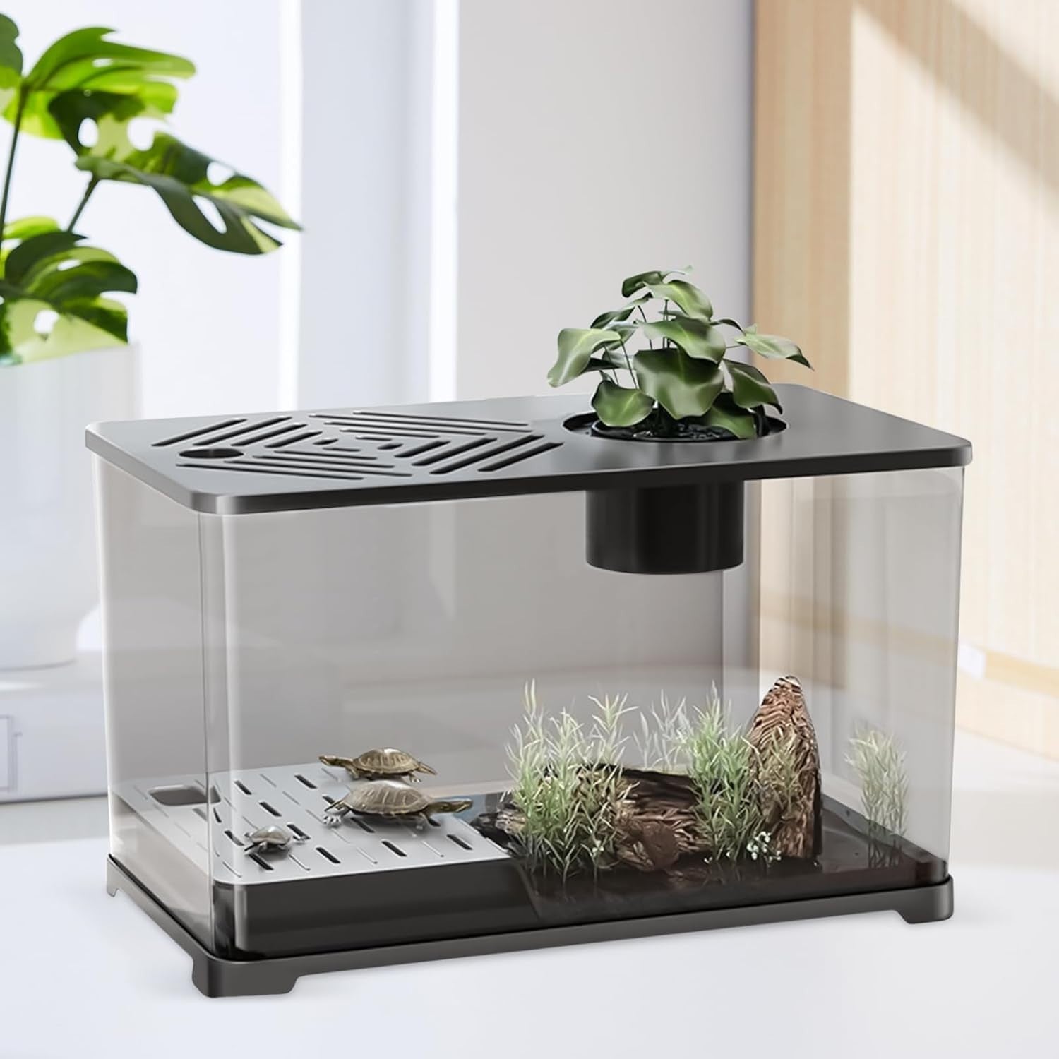 Large Desktop Aquarium for Betta, Turtle Sunbathing & Shrimp Tank
