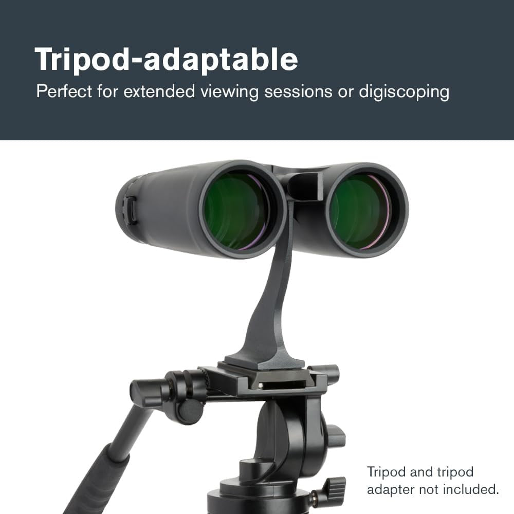8x42 Binoculars Waterproof Fogproof HD Optics Wide View Outdoor Travel