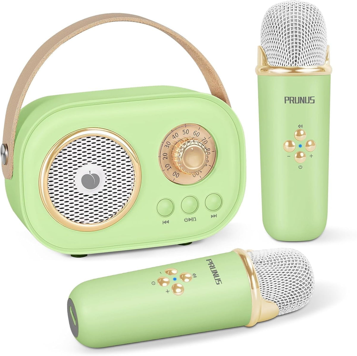 Mini Karaoke Machine Bluetooth 2 Wireless Mics Green Portable