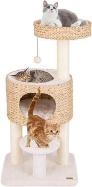 Modern Cat Tree Tower With Wicker Condo Top Perch Scratching Posts Indoor