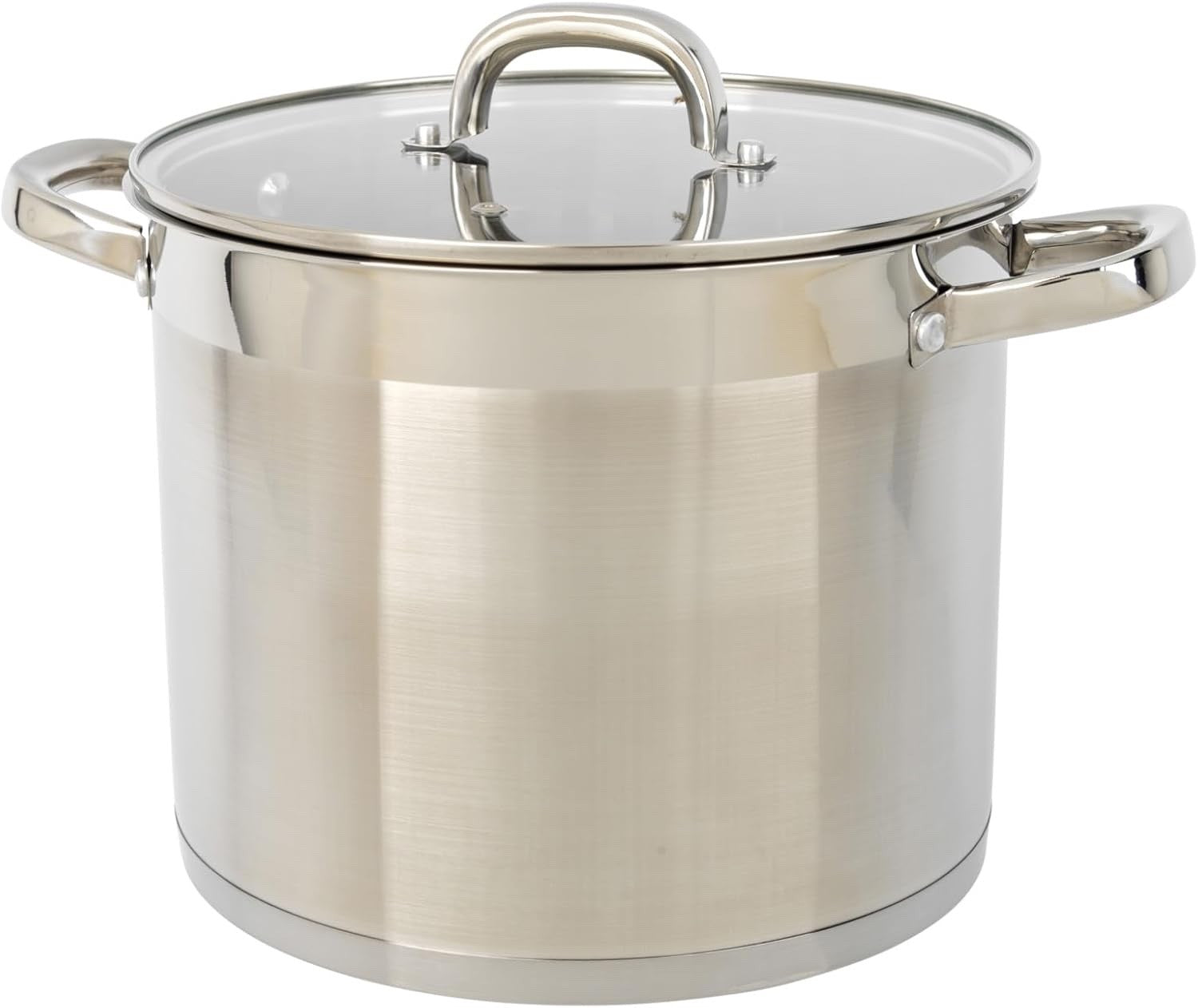 24cm Stainless Steel Stockpot – 9L Large Induction Cooking Pot with Glass Lid