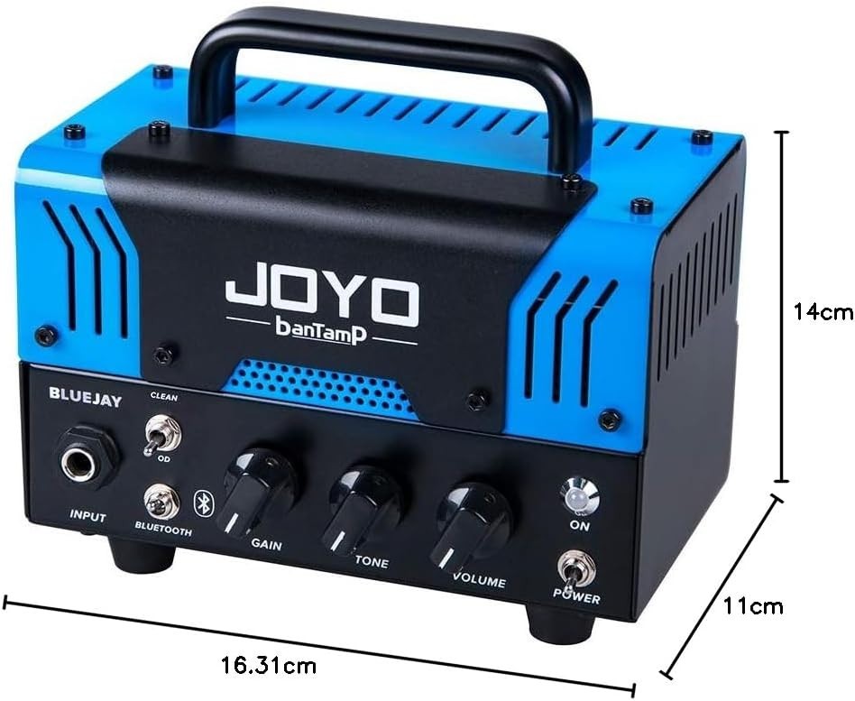 20W Mini Guitar Amp Head Hybrid Tube 2-Channel Bluetooth Blues & Jazz