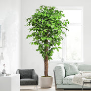 6ft Ficus Artificial Tree 180cm – Natural Curved Trunks Lifelike Indoor Decor