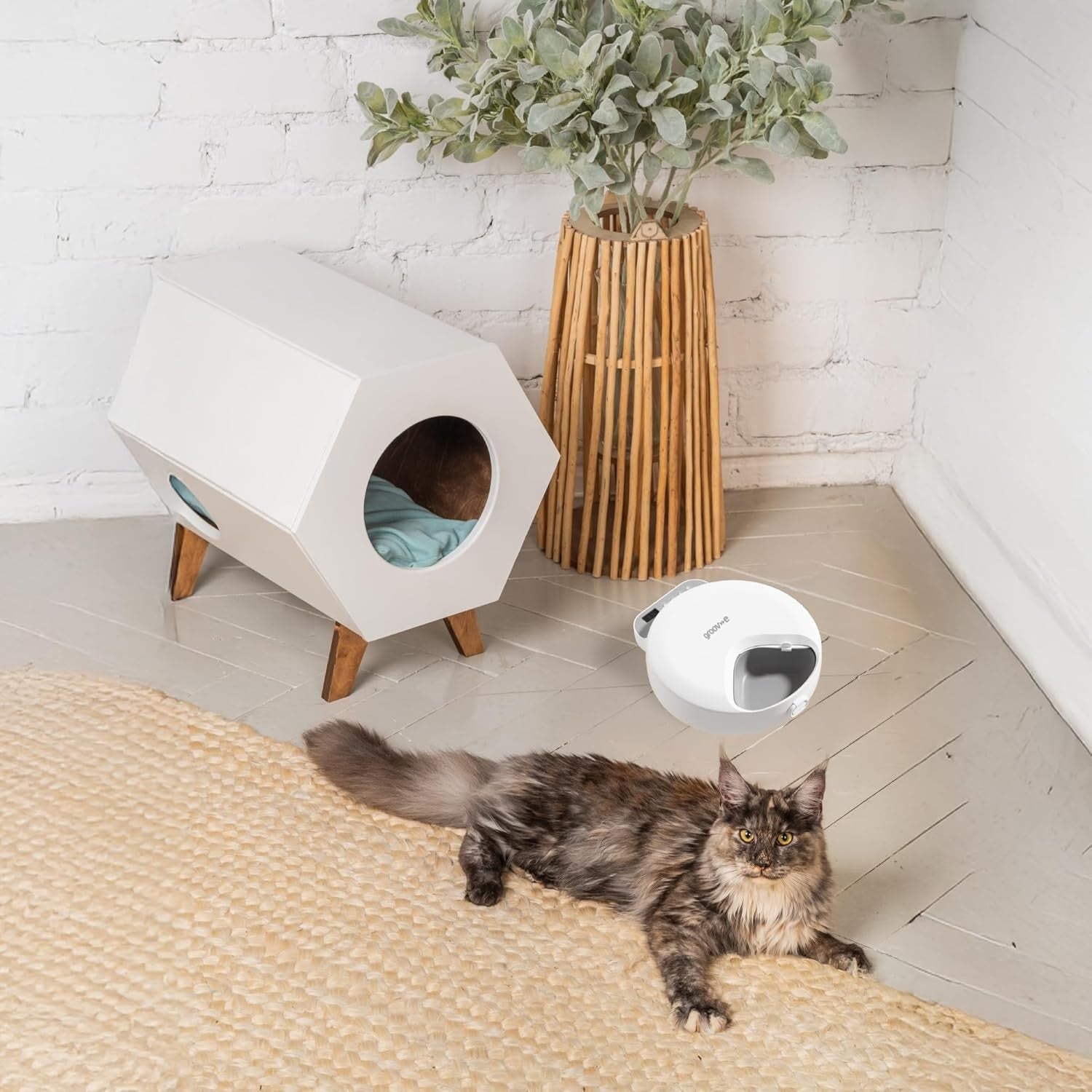 Automatic Wet Food Pet Feeder Timer 4 Meal Ice Pack Cat Dog Feeder