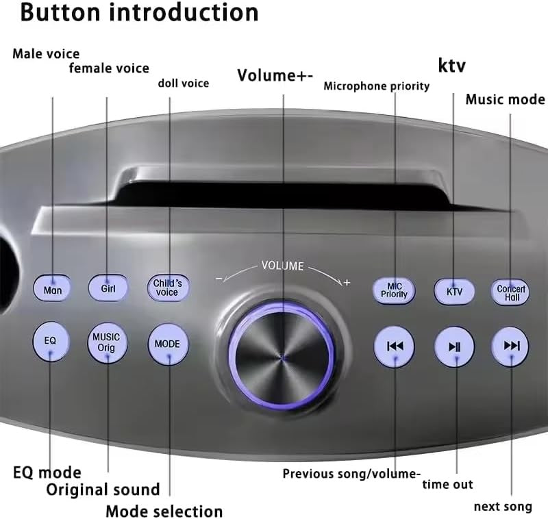 Omana Portable Karaoke Machine 30W Wireless Bluetooth Dual Mic Party Speaker Gre