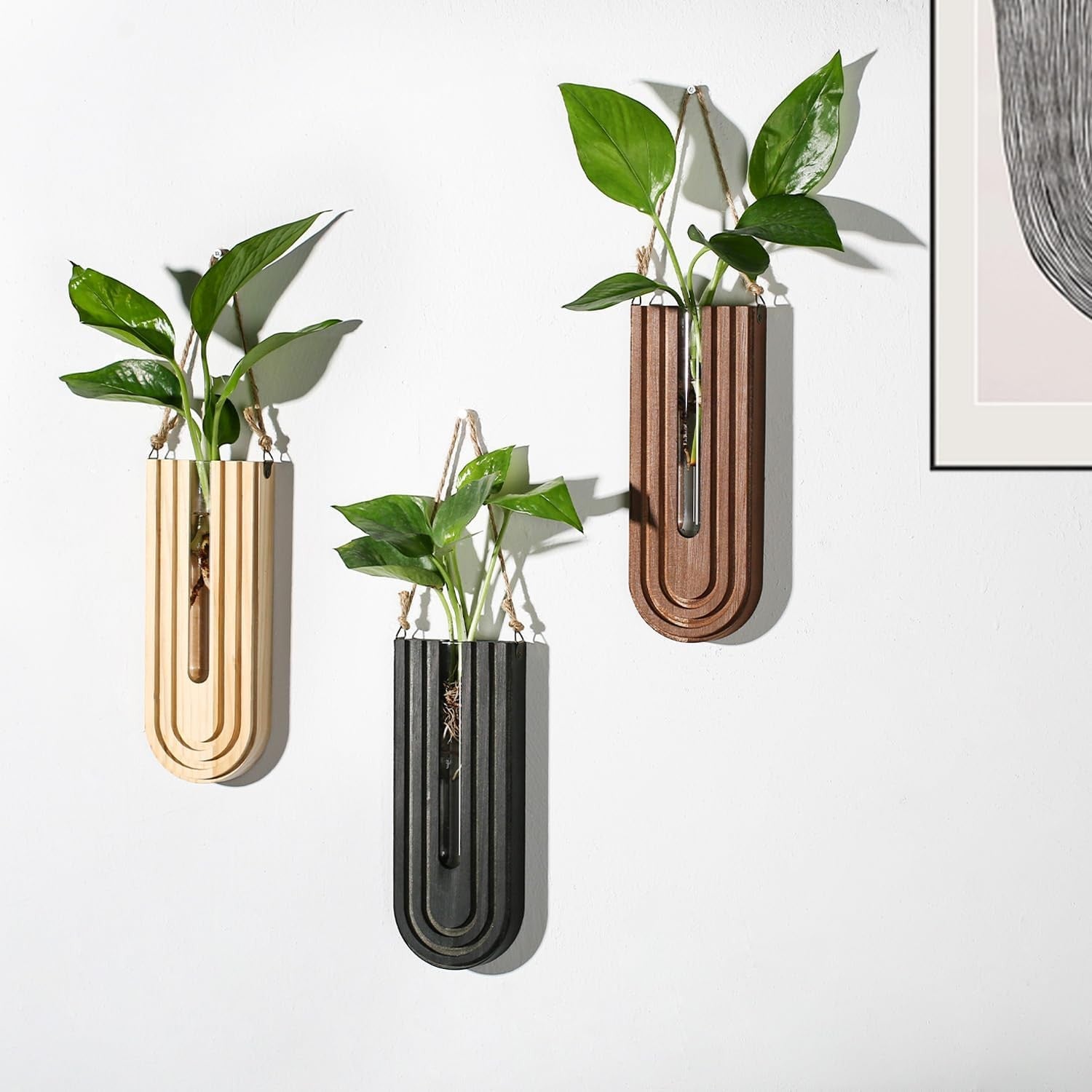 Indoor Wooden Wall Planter Set of 3 Boho Hanging Plant Propagation