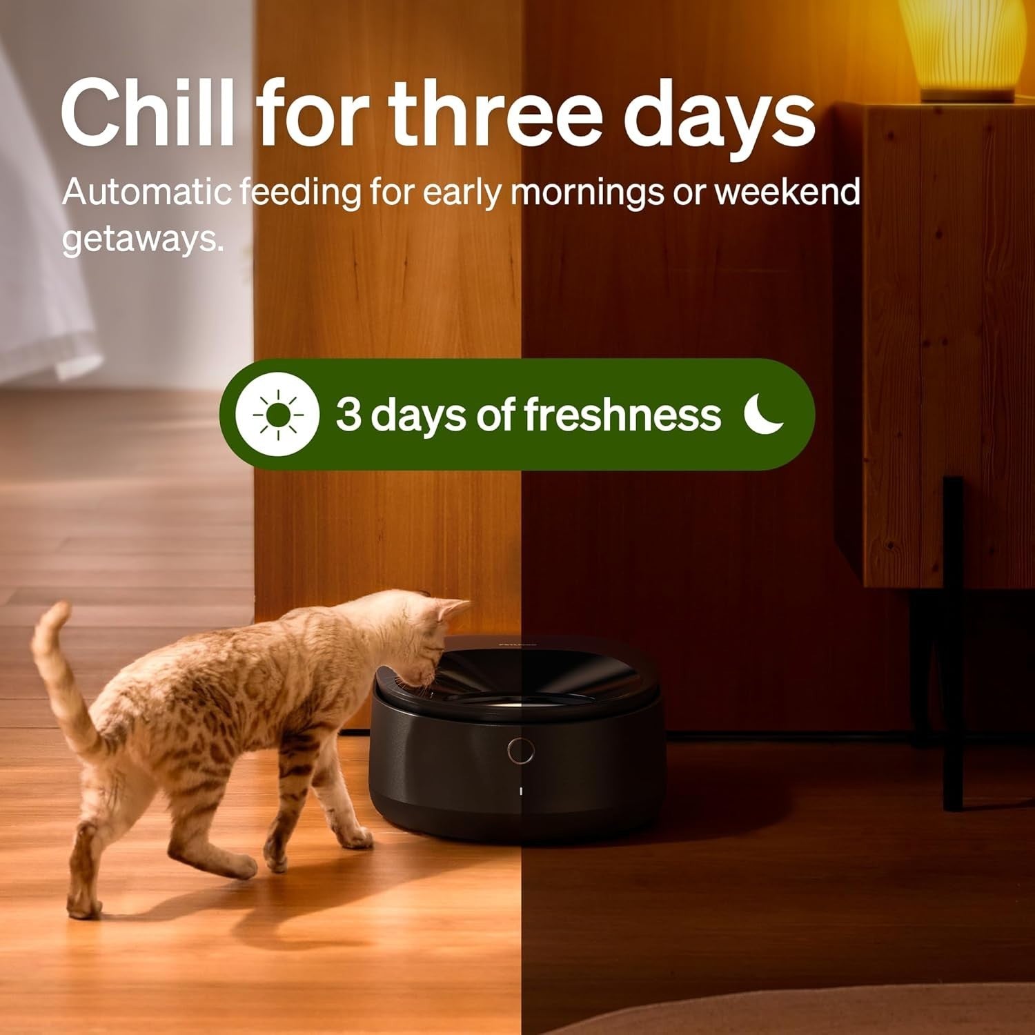 Automatic Wet Cat Feeder WiFi Refrigerated Food Dispenser 3 Day Fresh