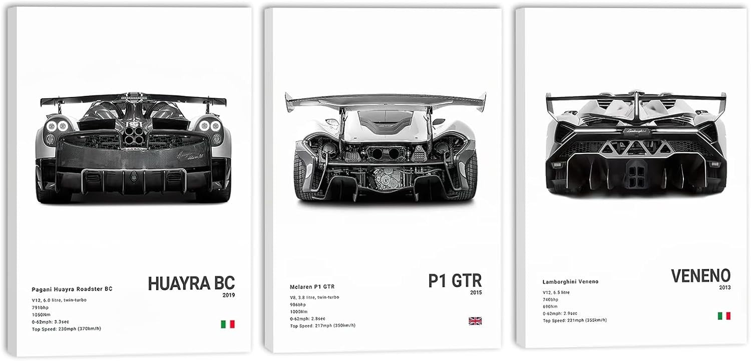 Black White Supercar Canvas Wall Art 3Pcs 16x24in Framed