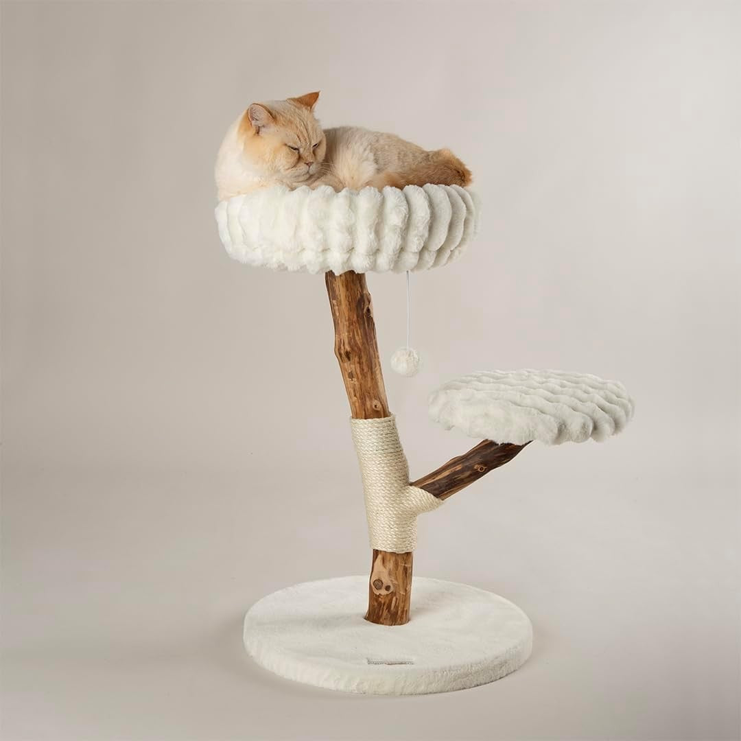 Luxury Cat Scratching Tree with Plush Perch Natural Wood Indoor Climbing Tower