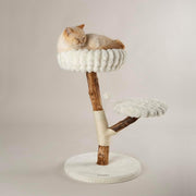 Luxury Cat Scratching Tree with Plush Perch Natural Wood Indoor Climbing Tower