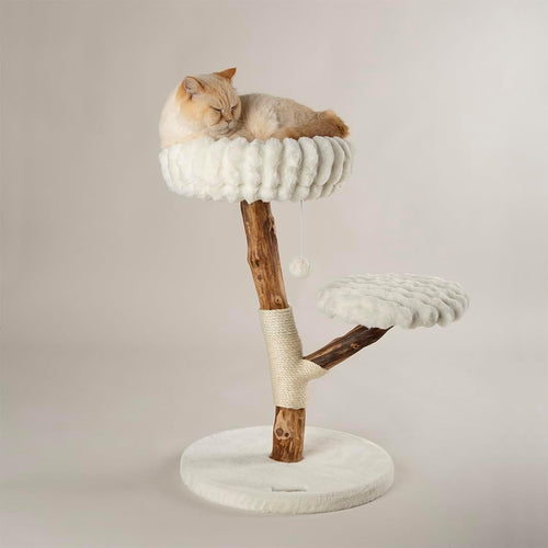 Luxury Cat Scratching Tree with Plush Perch Natural Wood Indoor Climbing Tower