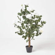 Artificial Cream Peony Tree 100cm Tall Faux Potted Plant Home Indoor Decoration