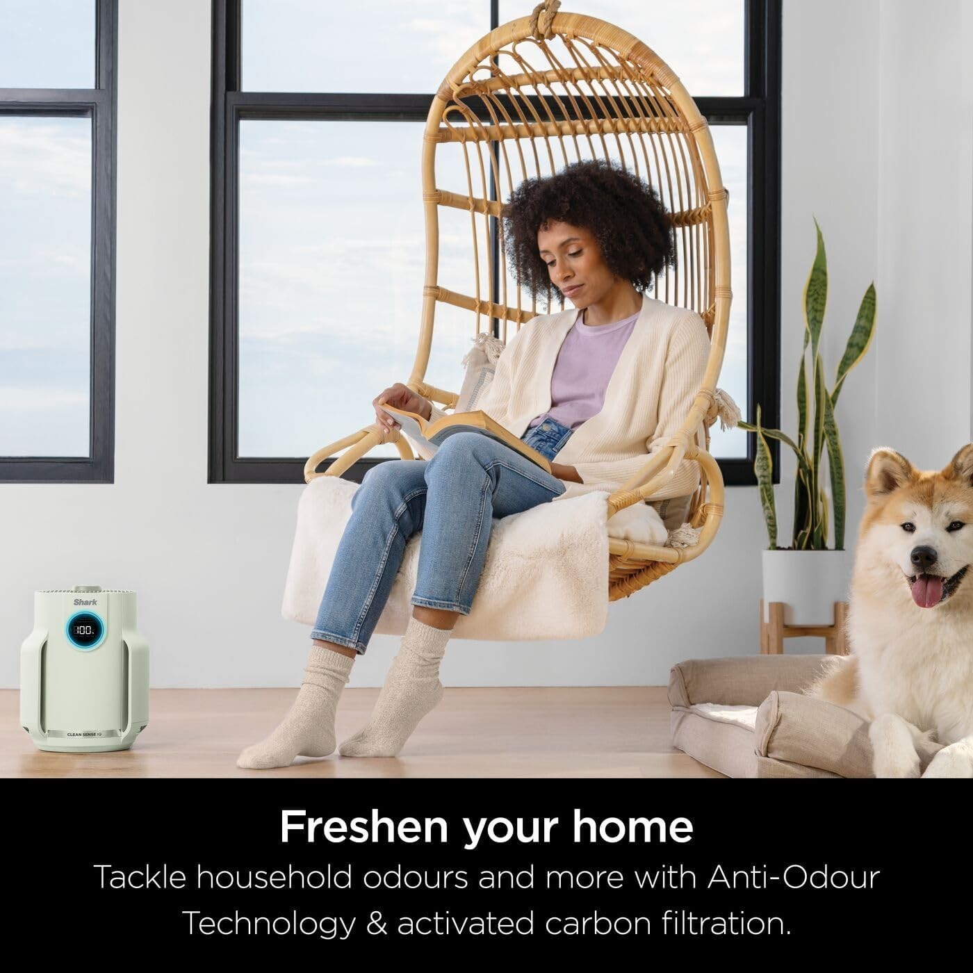 Quiet HEPA Air Purifier 23m² 5-Year Filter Dust Pollen Pet Dander