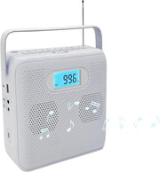 Portable CD Player Bluetooth FM Radio USB Recording HiFi Speakers LCD