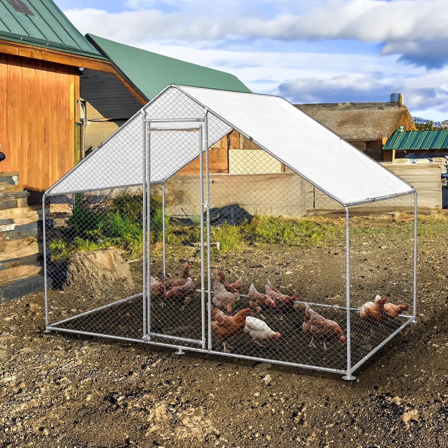 Walk In Chicken Run 3x2x2m Galvanised Steel Coop Pen