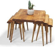 Teak Wood Nesting Side Table Set Mid-Century Modern Coffee End Plant Stand
