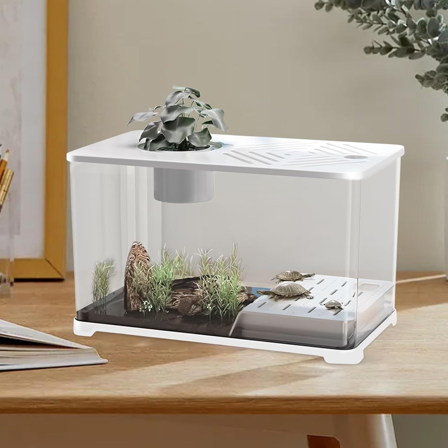 10G Fish Tank Kit | Large Aquarium w/ Turtle Resting Area & Plants