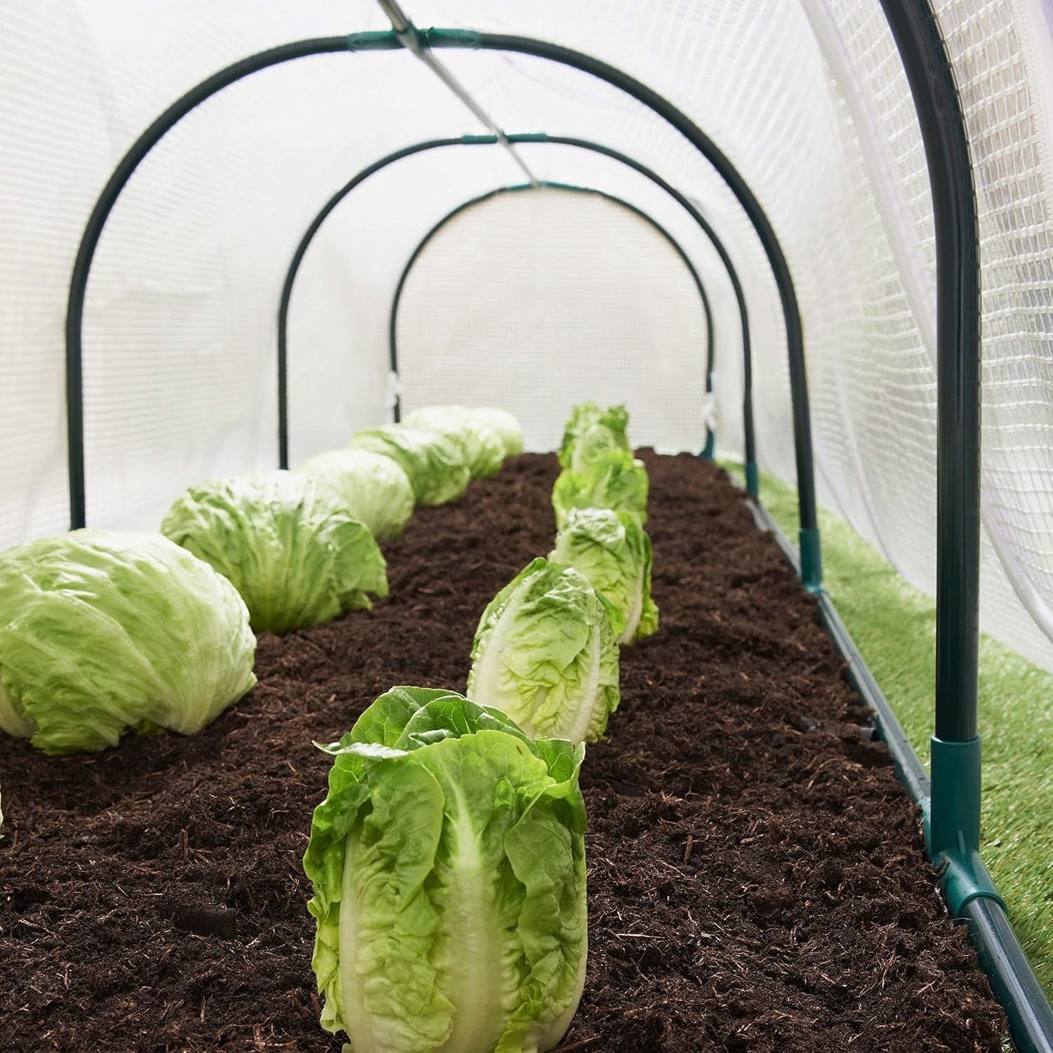 Polytunnel Greenhouse 4 Section with Reinforced PE Mesh Cover & Steel Frame