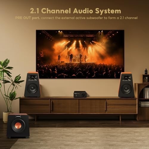 Mini HiFi Stereo Amplifier 2-Channel 300W Class D Compact Audio Amp
