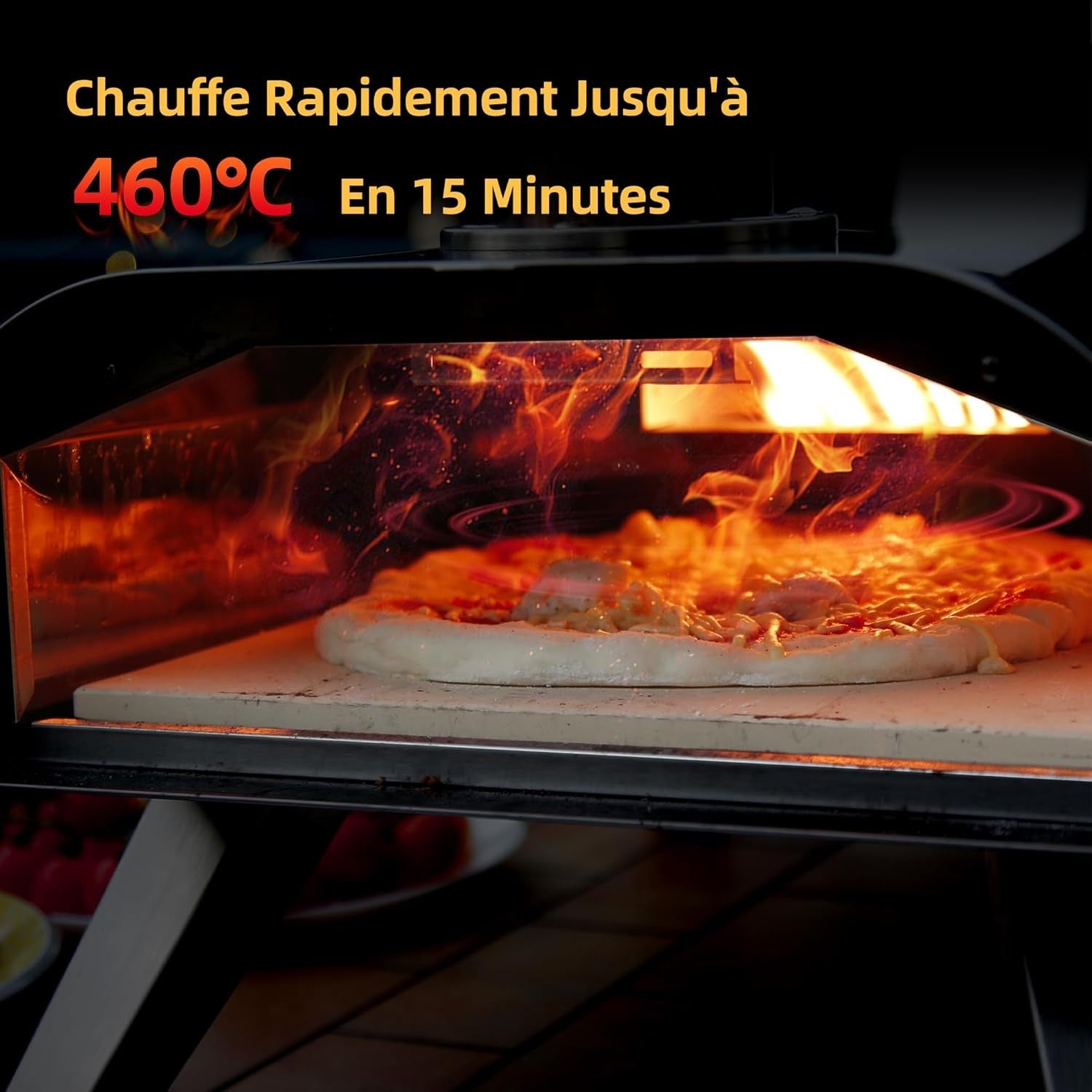 Stainless Steel Outdoor Pizza Oven | Portable Wood Pellet Pizza Maker BBQ