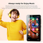 160GB MP3 MP4 Player Grey 4" Touch WiFi Bluetooth Spotify