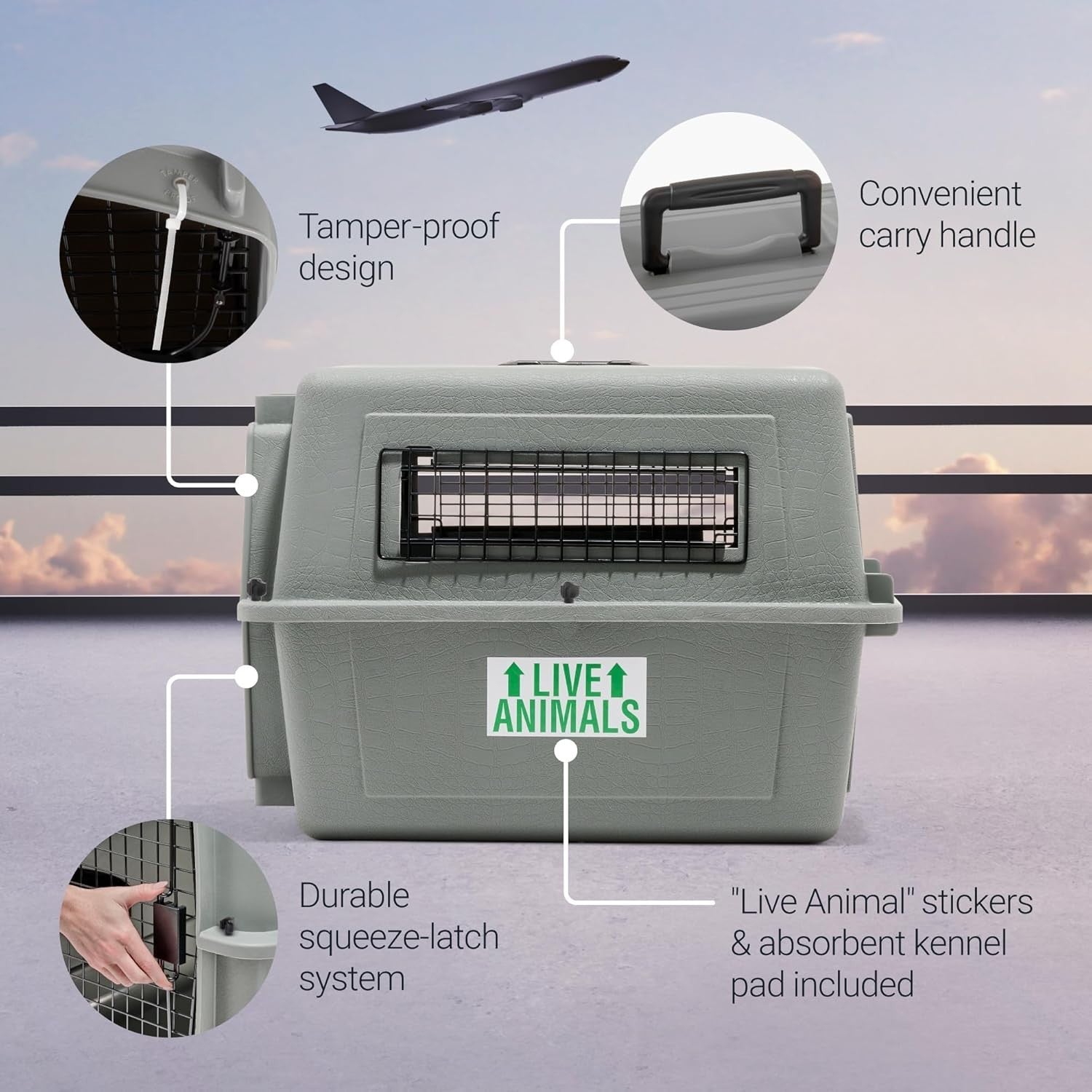 Hard Plastic Pet Carrier with Secure Doors for Safe Travel, Grey