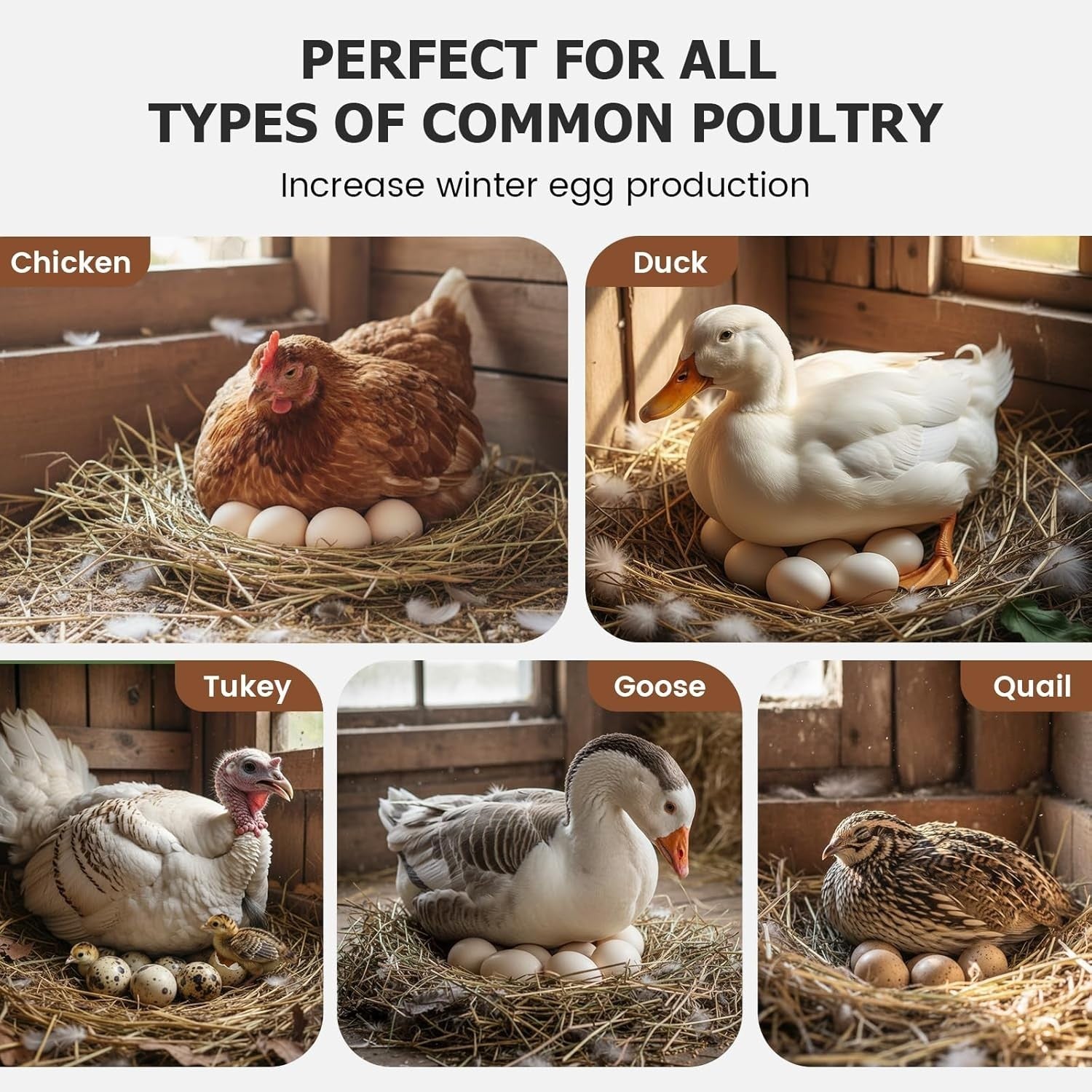 Automatic Chicken Coop LED Light Timer Egg Booster