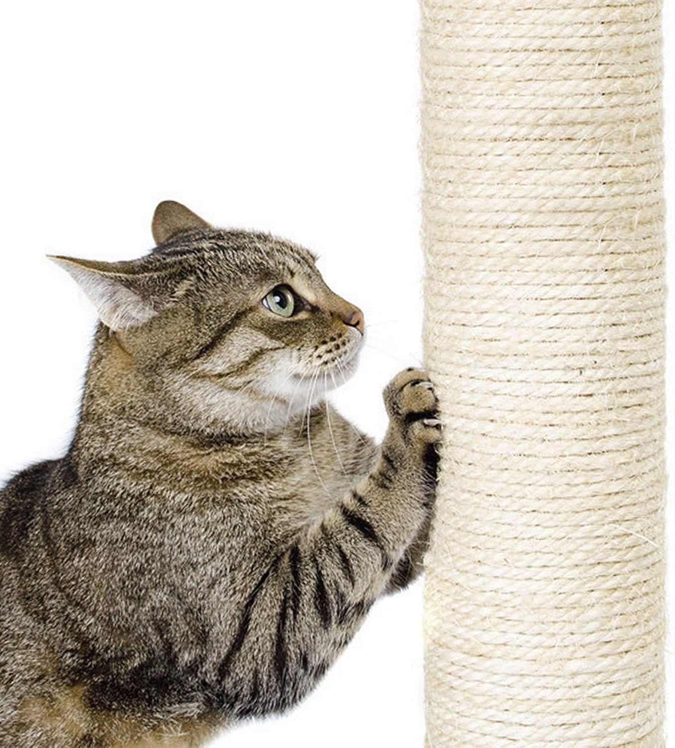 182cm Large Cat Tree Tower Dark Grey Multi Level Condo Scratching Posts