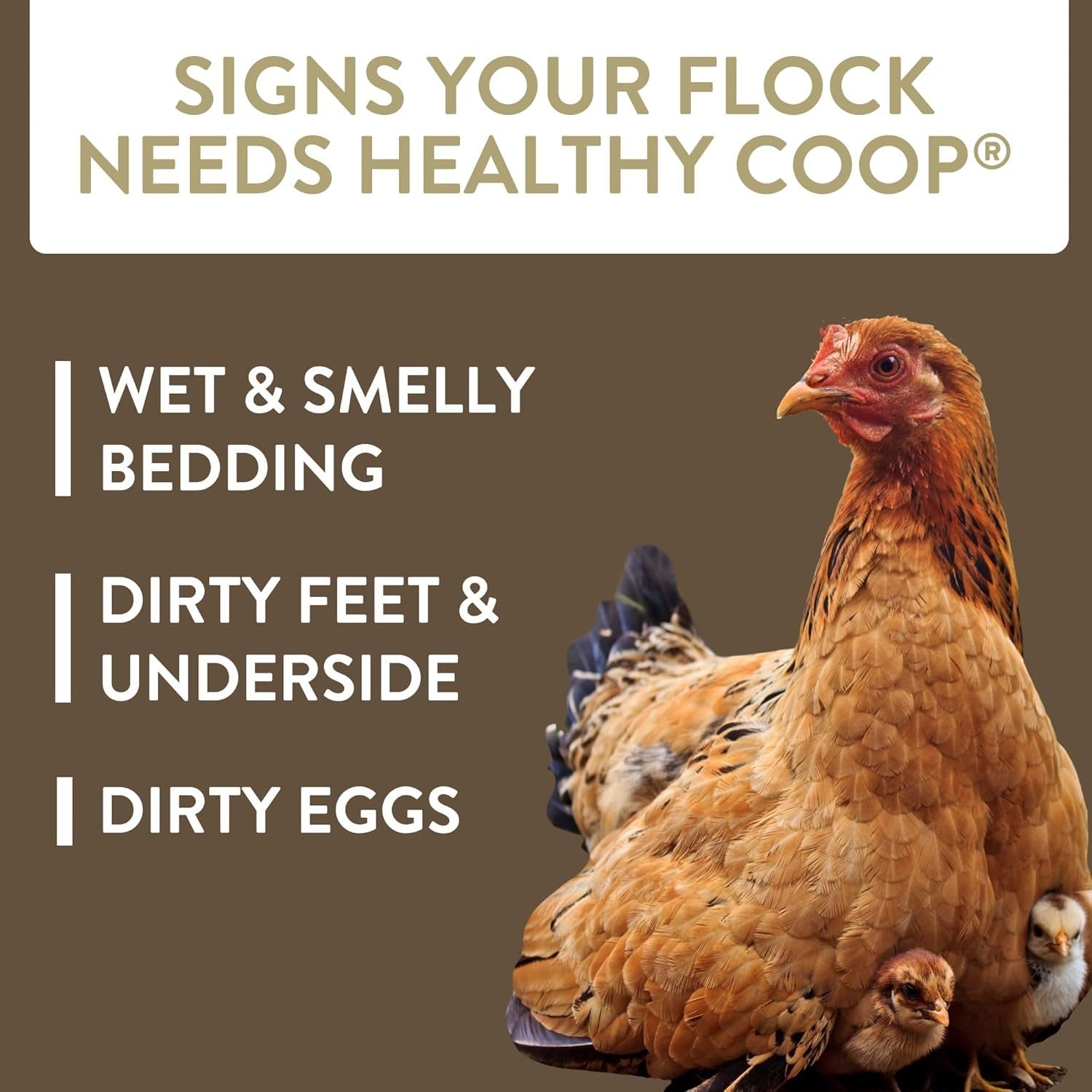 12lb Chicken Coop Litter Additive Probiotic Odor Control