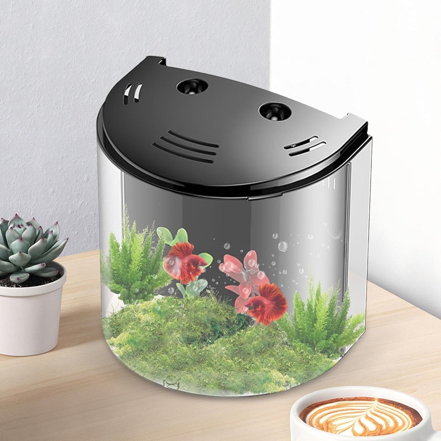 Acrylic Small Fish Tank with Pump | Clear Desktop Aquarium for Snails & Crabs