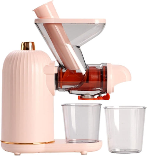 Slow Masticating Juicer 100W Cold Press Quiet High Juice Yield