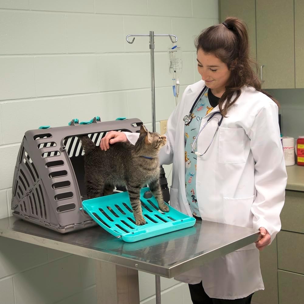 XL Foldable Cat Carrier 63x51x48cm Collapsible Plastic Travel Crate 35lb Pet
