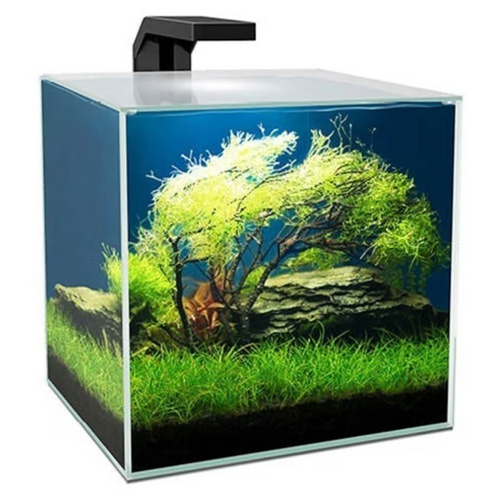14L Glass Cube Aquarium with LED Lights & Internal Filter – Compact Fish Tank