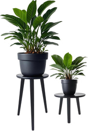 2 Pack Wooden Plant Stand Set | Modern Black Flower Pot Tables for Home Decor