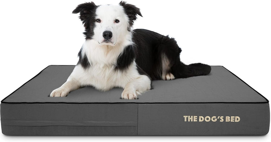 Large Orthopedic Memory Foam Dog Bed 101x64x15cm Washable
