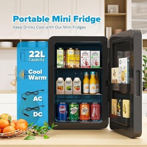 22L Mini Fridge Portable Cooler & Warmer for Bedroom Office Black