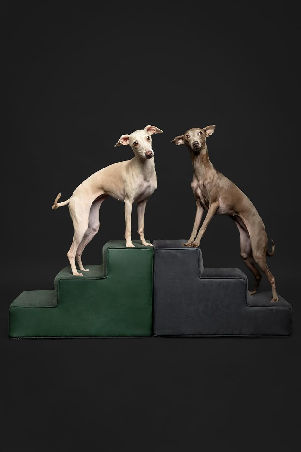 Extra‑Wide 3‑Step High‑Density Foam Dog & Cat Stairs – Non‑Slip Pet Ramp