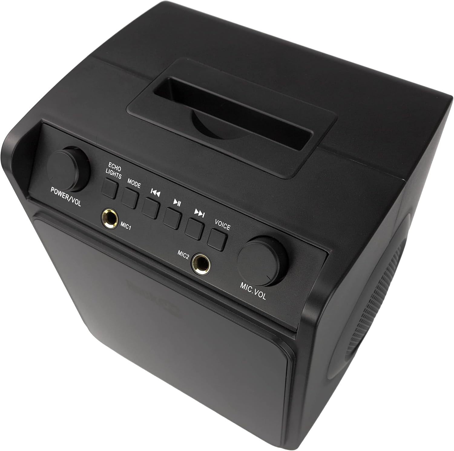 Bluetooth Karaoke Machine 10W with 2 Mics LED Speaker