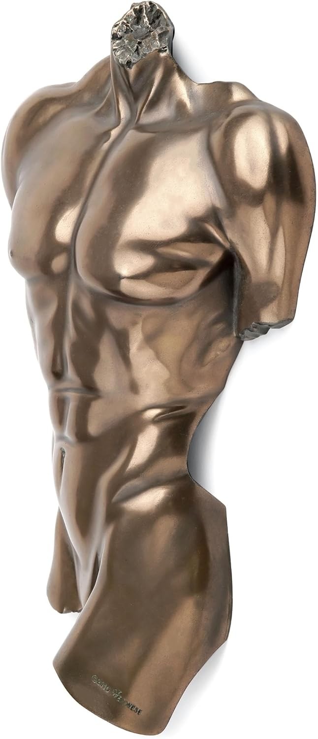 Bronze Nude Male Torso Wall Sculpture Anatomy