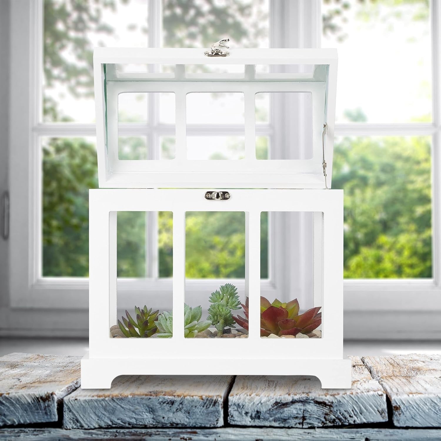Set of 2 Indoor Mini Greenhouses Glass MDF Herb Planters Decorative Display