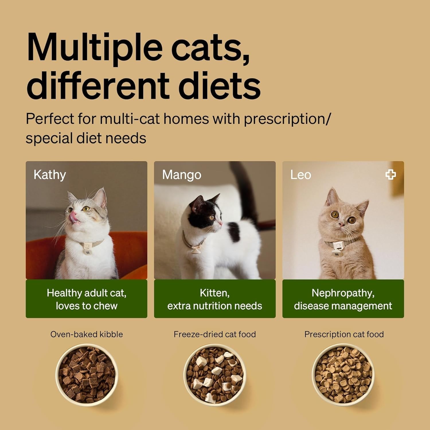 RFID Automatic Cat Feeder WiFi App Control 3L Smart Pet Food Station