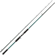 Heavy-Duty Predator Baitcast Fishing Rod – Pike, Perch & Trout, 2.59m