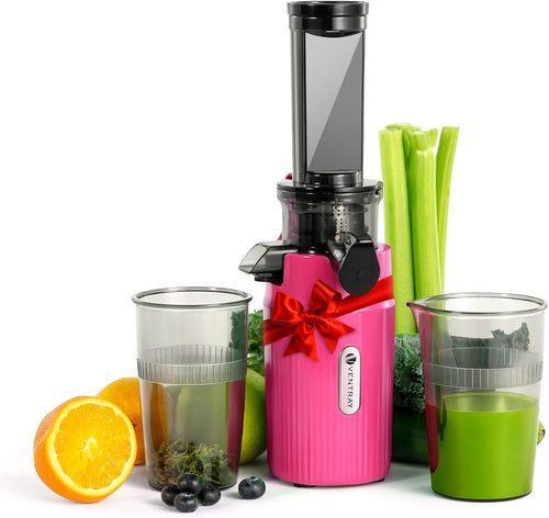 Mini Cold Press Juicer Slow Masticating 60RPM Compact Portable