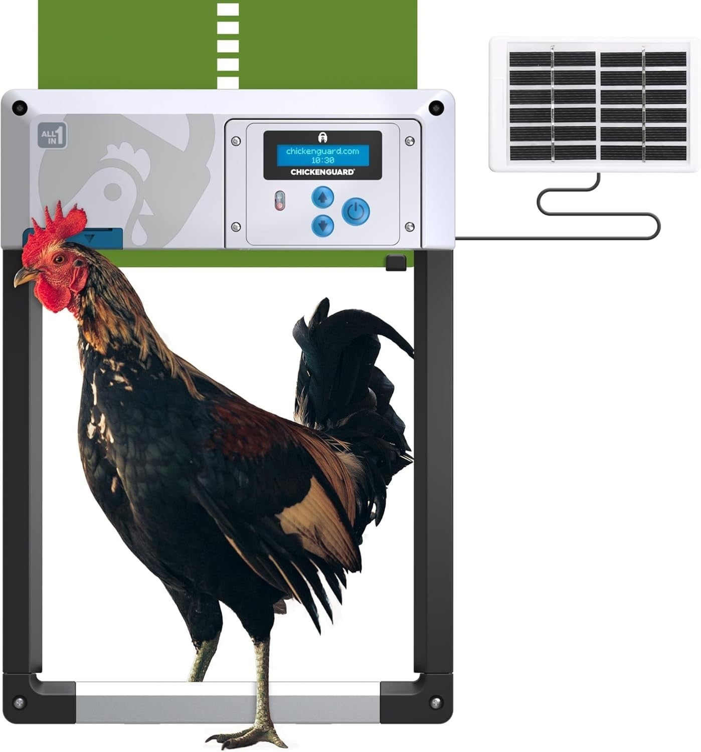 Automatic Chicken Coop Door Solar Timer Winter Mode