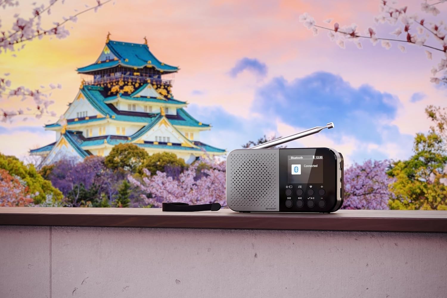 Portable Pocket DAB+/FM Digital Radio Bluetooth 5.3 USB-C Storm Grey