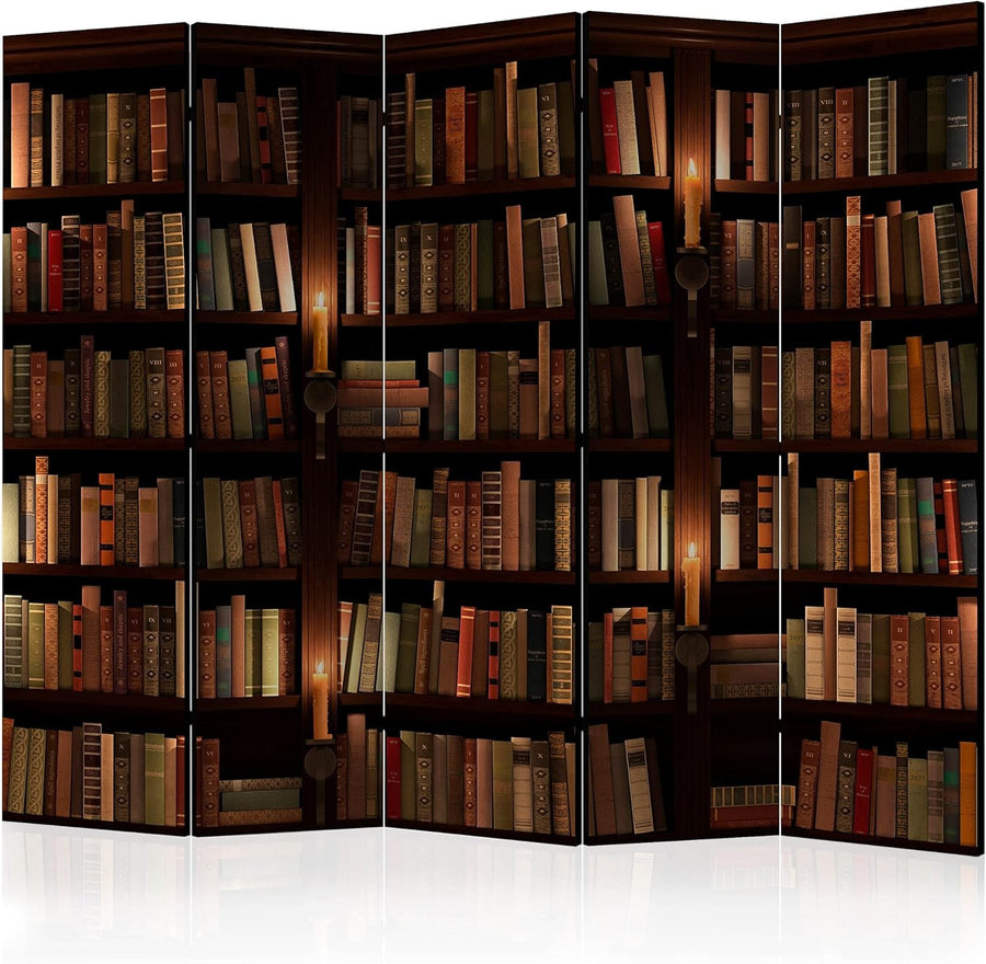 Luxury Acoustic 5 Panel Room Divider Bookshelf Print Privacy Screen 225x172cm
