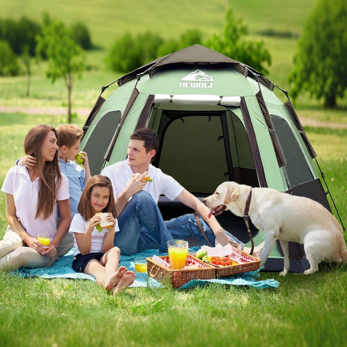 Waterproof Instant Camping Tent 2-4 Person Quick Setup Dome